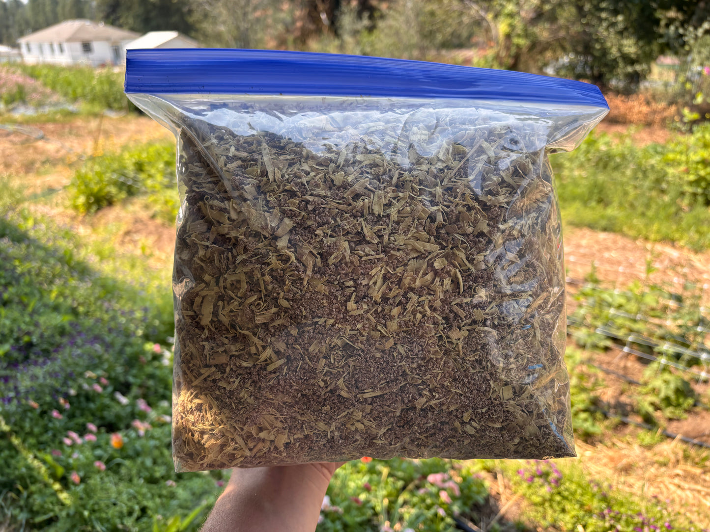 Griffin Family Bokashi Starter Kit (Fermentation Bin and Bran)