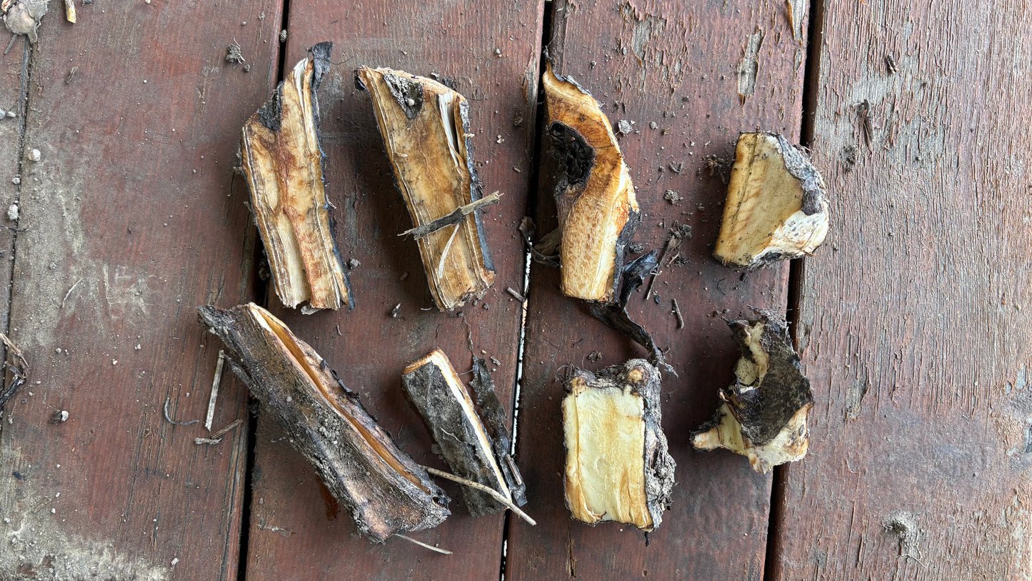 Comfrey Root Cuttings (8 Pack)
