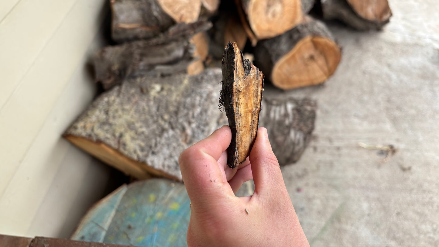 Comfrey Root Cuttings (8 Pack)