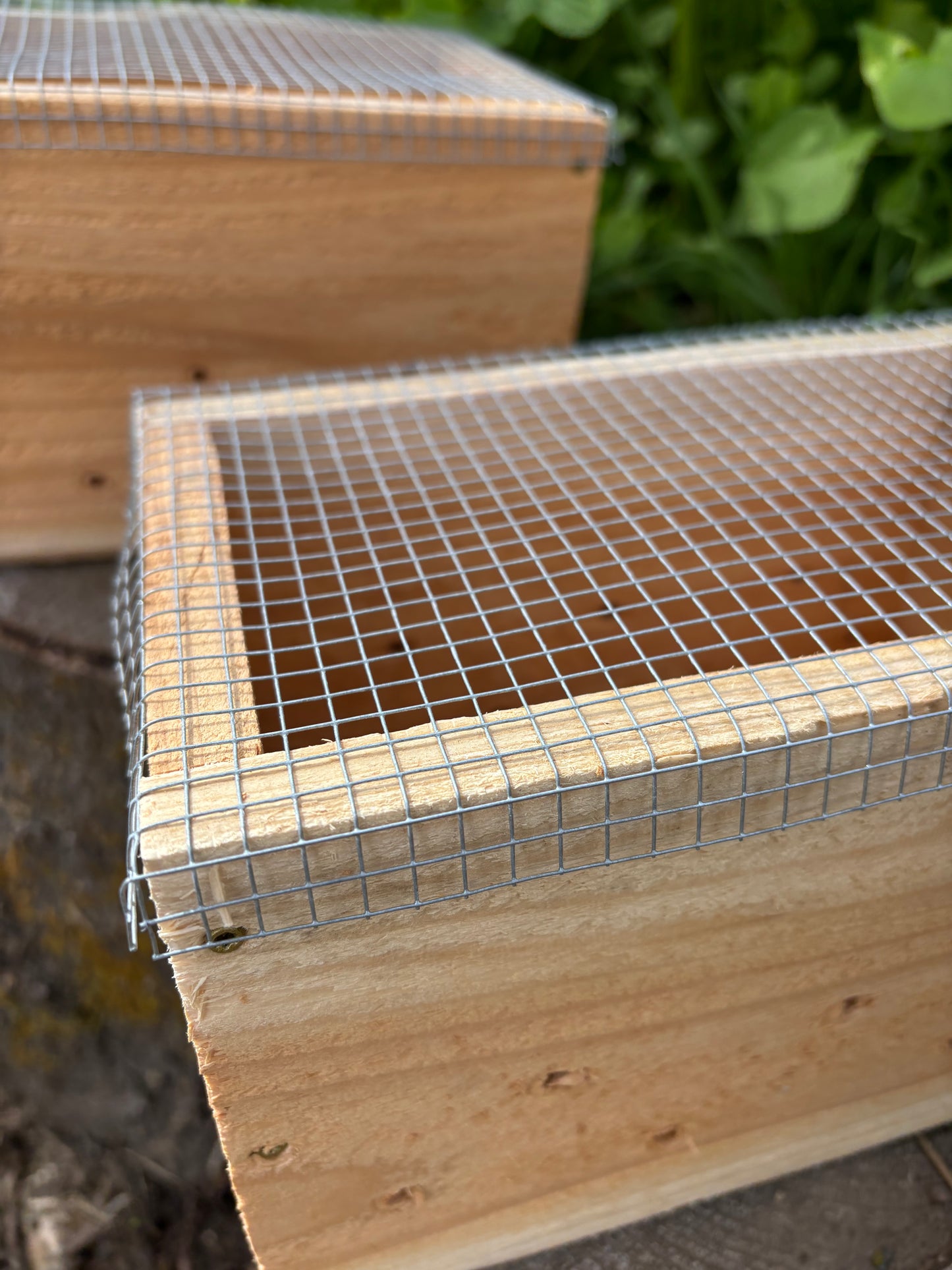 IMO Boxes