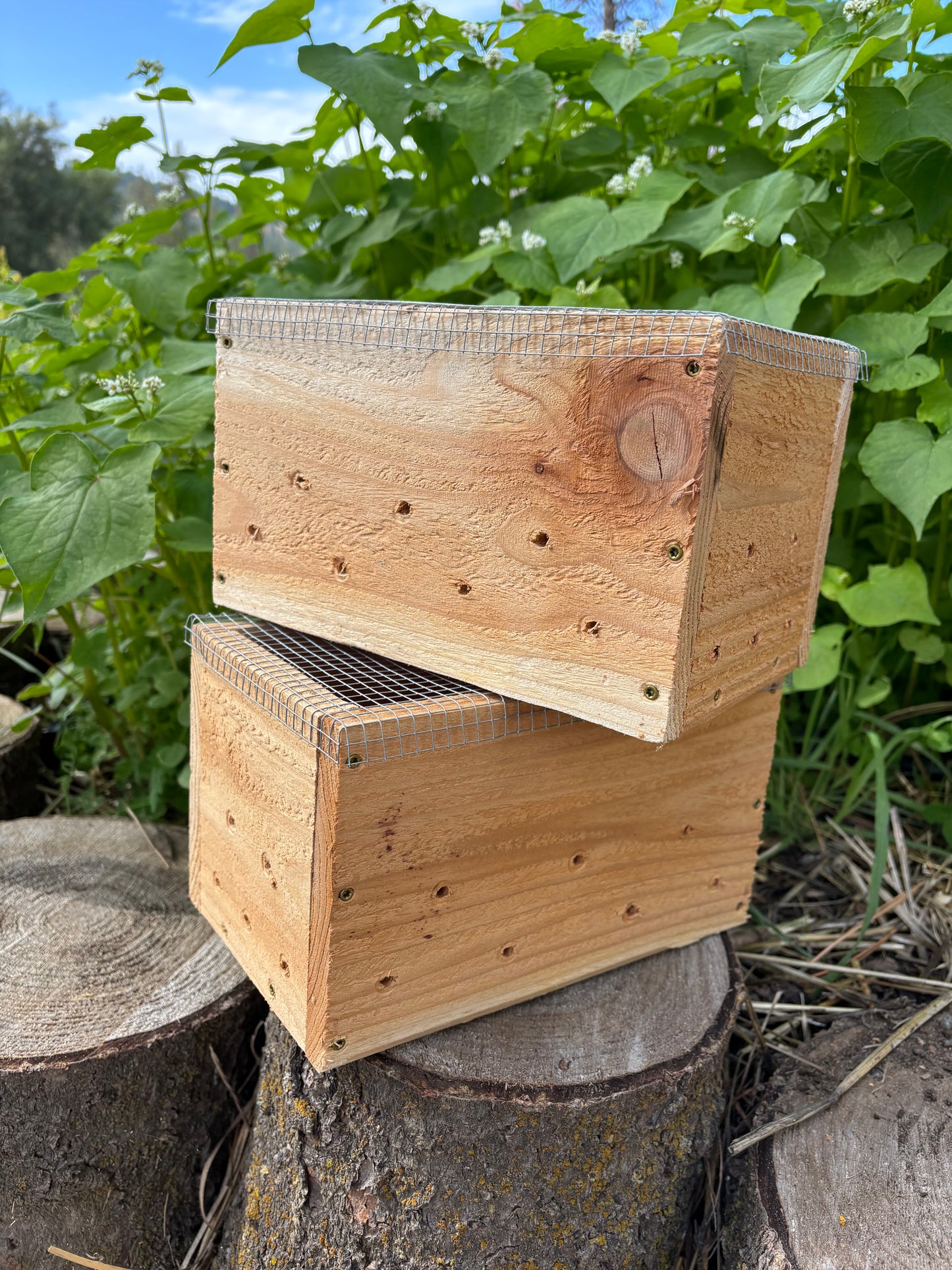 IMO Boxes