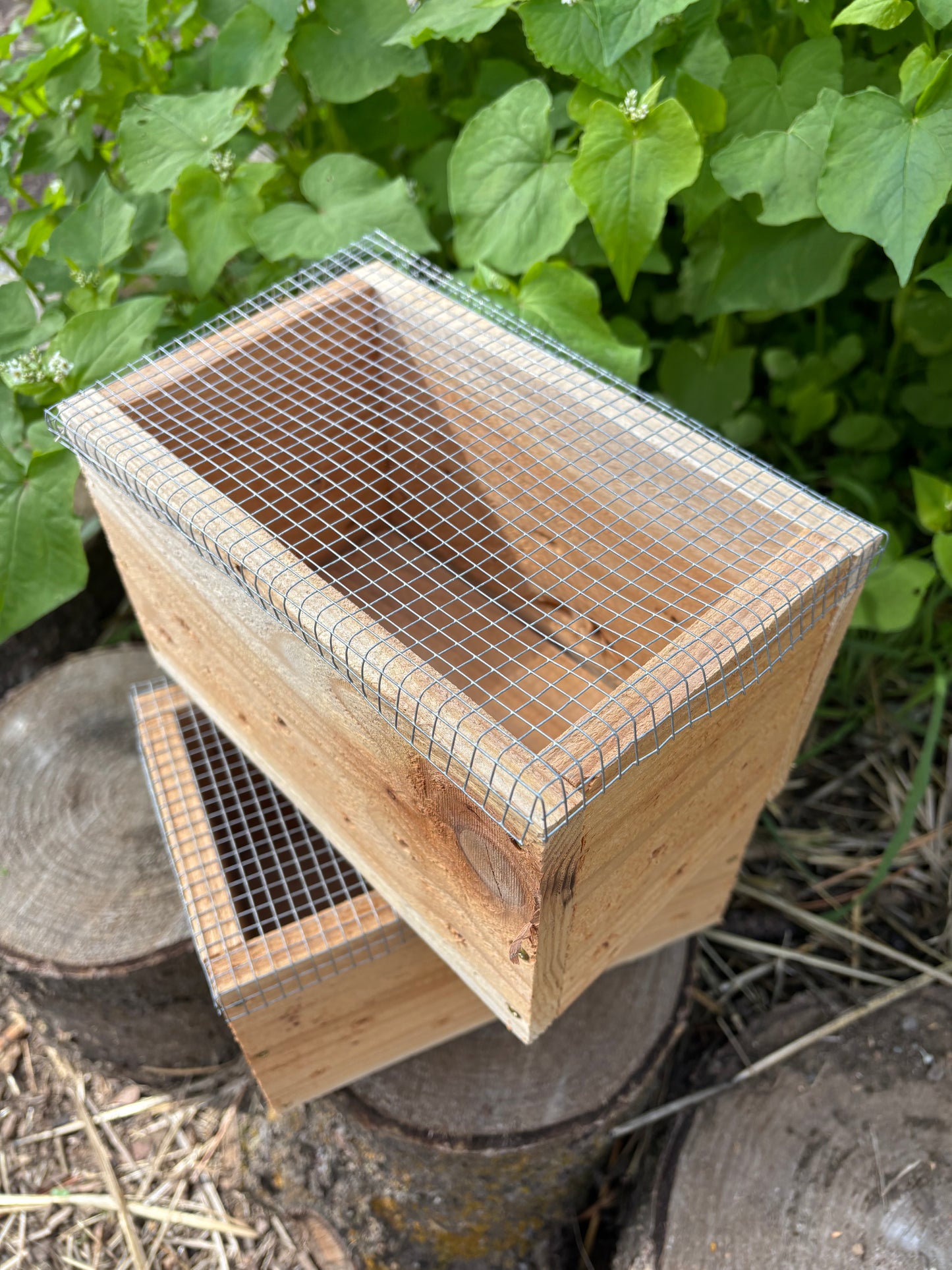IMO Boxes