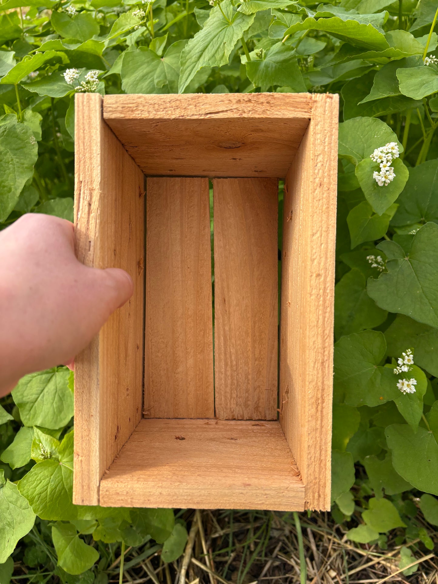 IMO Boxes