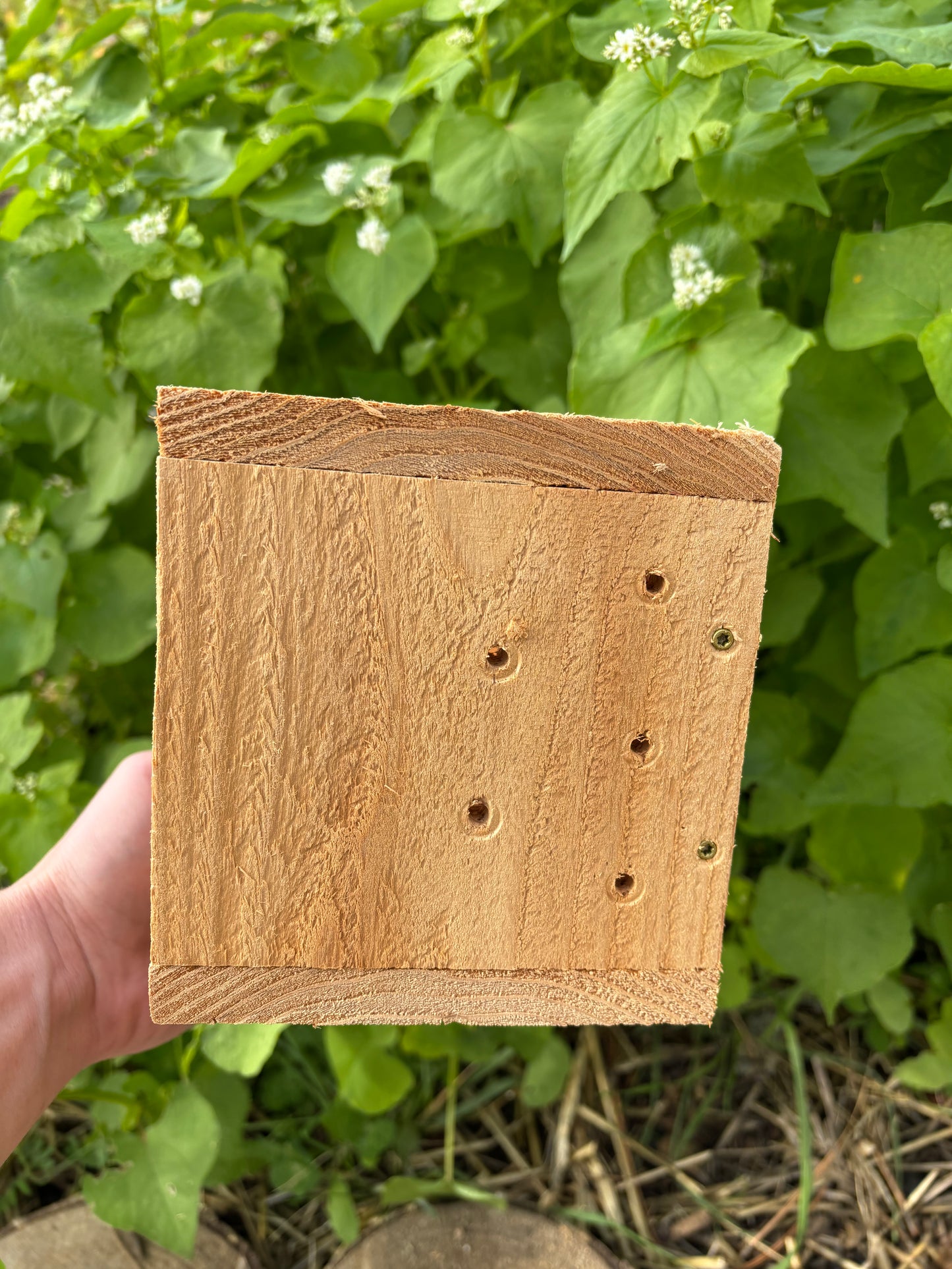 IMO Boxes