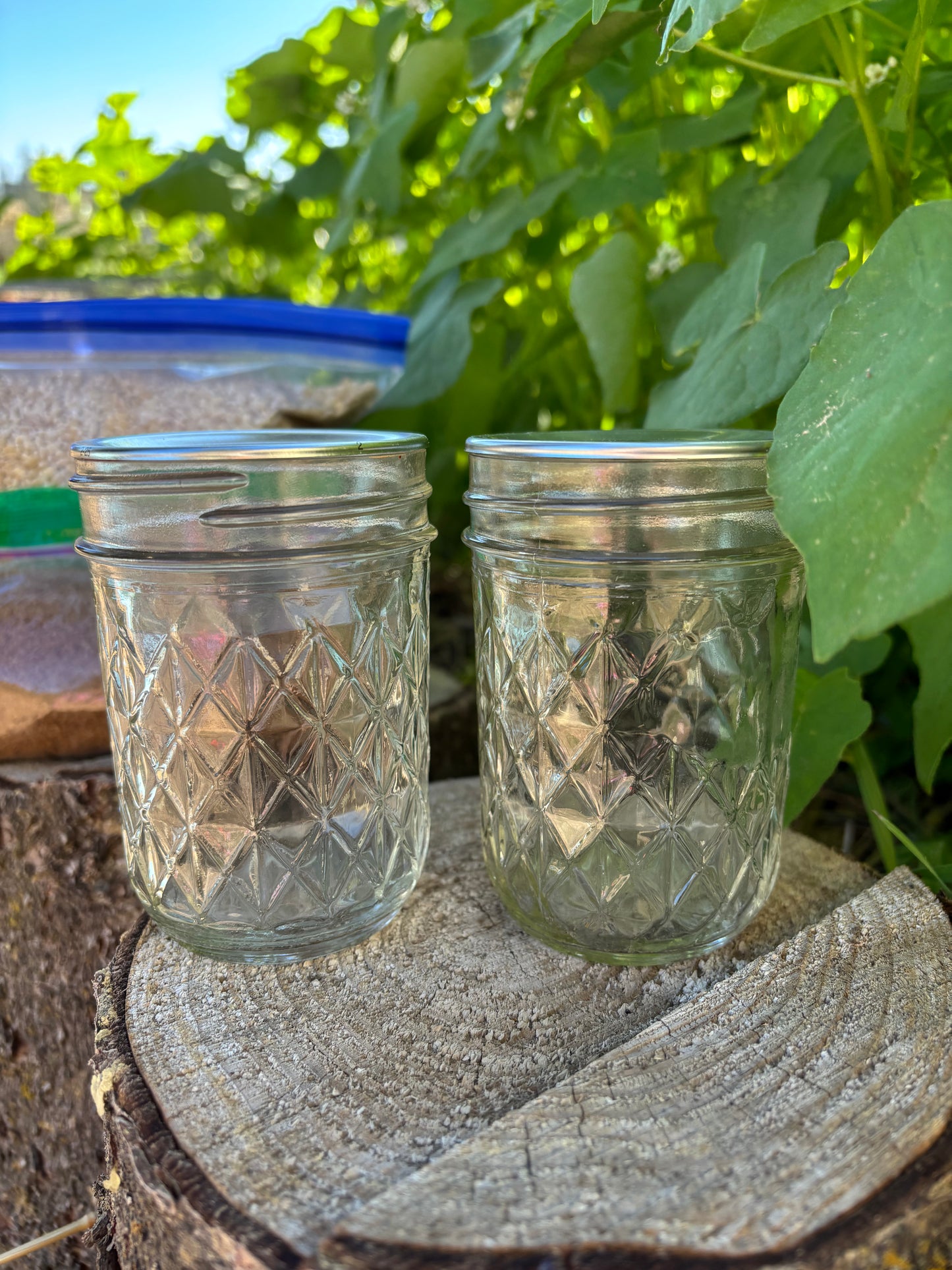 IMO 1 & 2 Kit