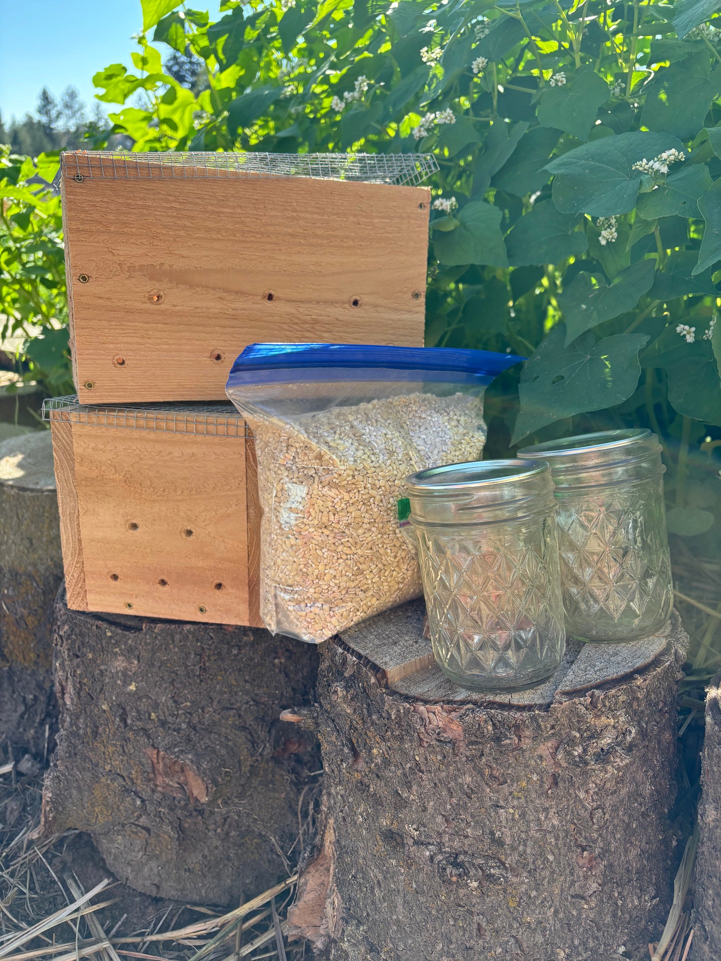 IMO 1 & 2 Kit