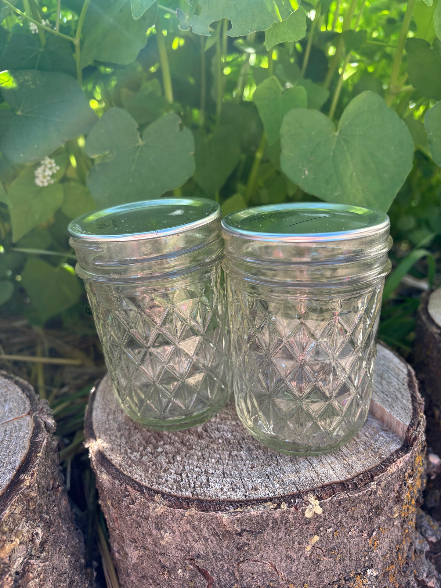 IMO 1 & 2 Kit