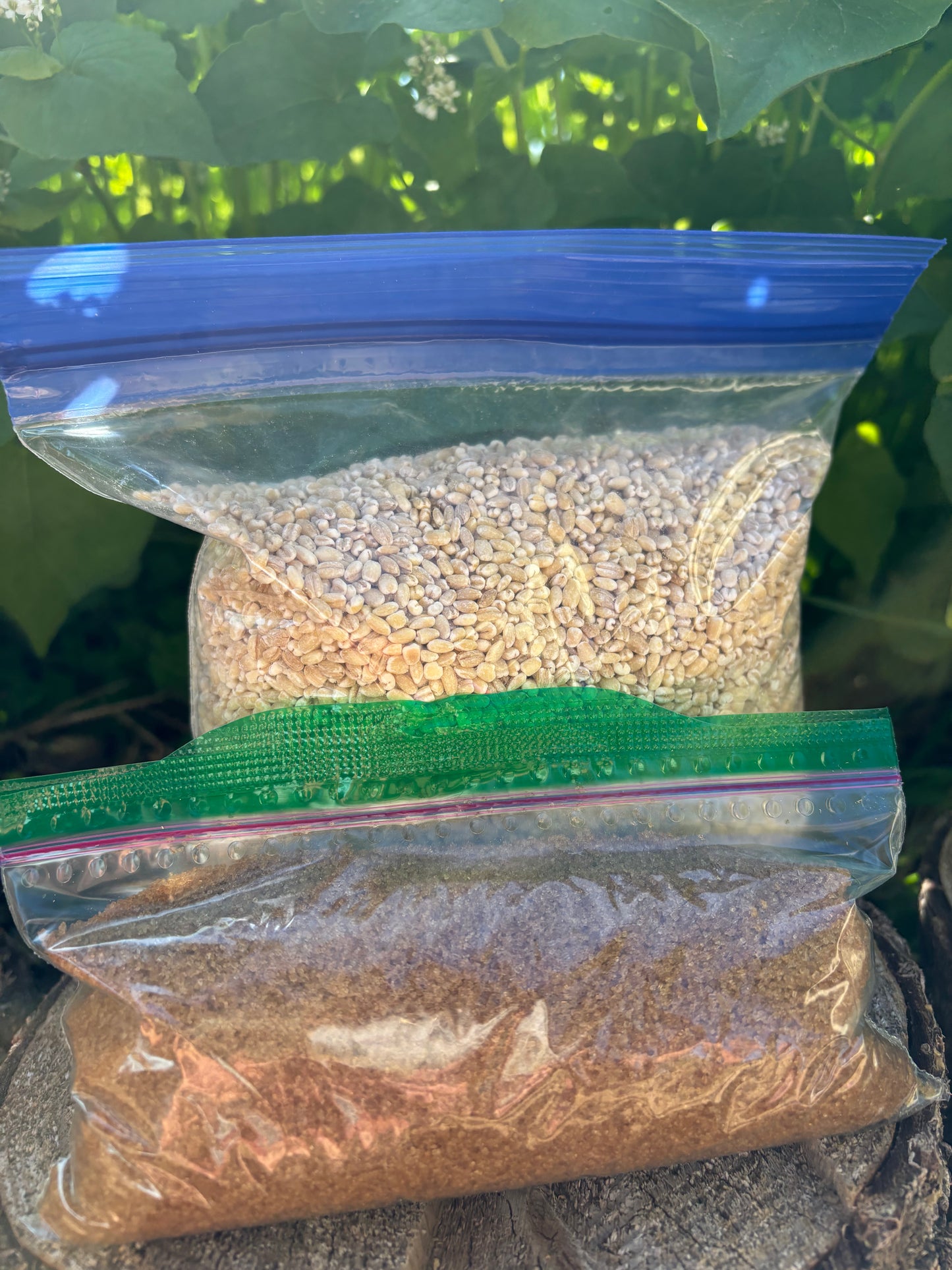 IMO 1 & 2 Kit
