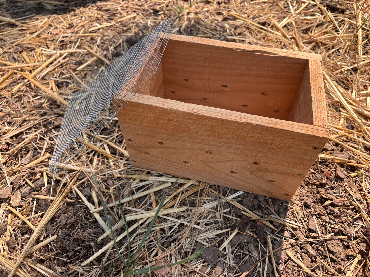 Korean Natural Farming Course + Starter Kit